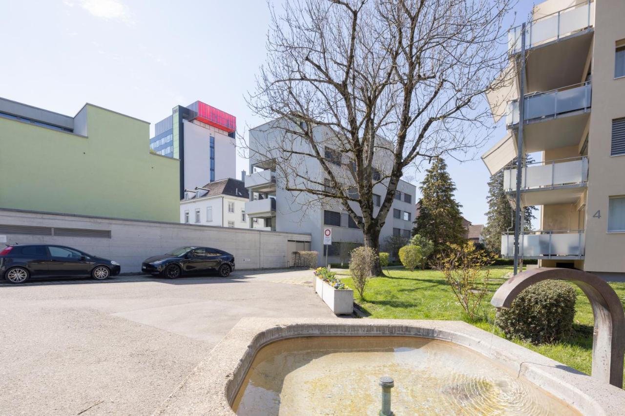 Stayy Green Oasis Near Zurich I Free Parking I Tv Дітікон Екстер'єр фото